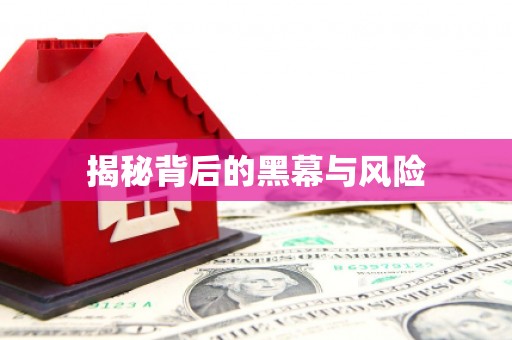 宝清揭秘背后的黑幕与风险